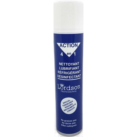 Nettoyant Lubrifiant Bactéricide 300 ml Action 4 en 1 LORDSON