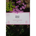 Enveloppe de Savon à Raser Rose MARTIN DE CANDRE