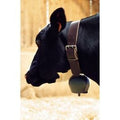 Cloche acier bombé Black-Blue 144 mm