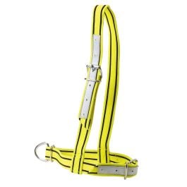 Licol en nylon jaune et noir pour vache