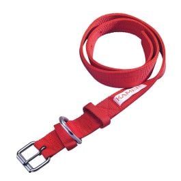 Collier en nylon pour vache pour passant d'identification rouge
